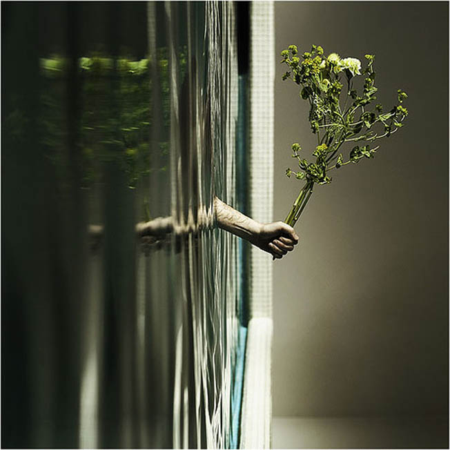 Perspectiva-forcada (16)