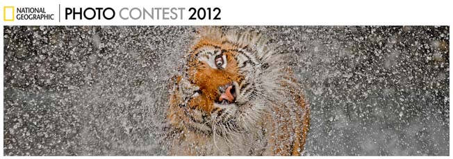 National Geographic Photo Contest | Fotos Vencedoras