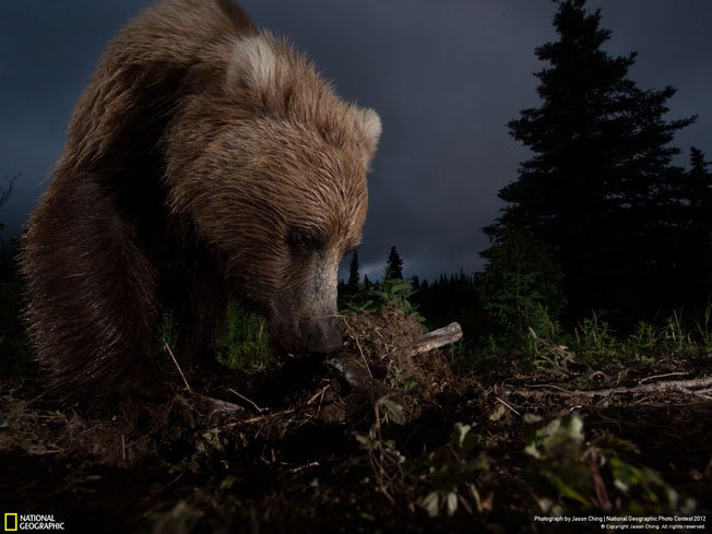 National-Geographic-Photo-Contest-Winners