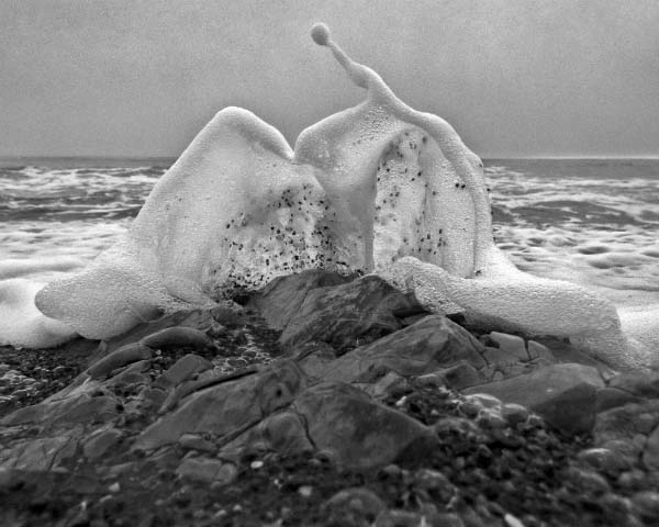 Sony World Photography Awards 2014 (14)