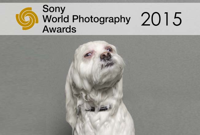 Sony World Photography Awards 2015
