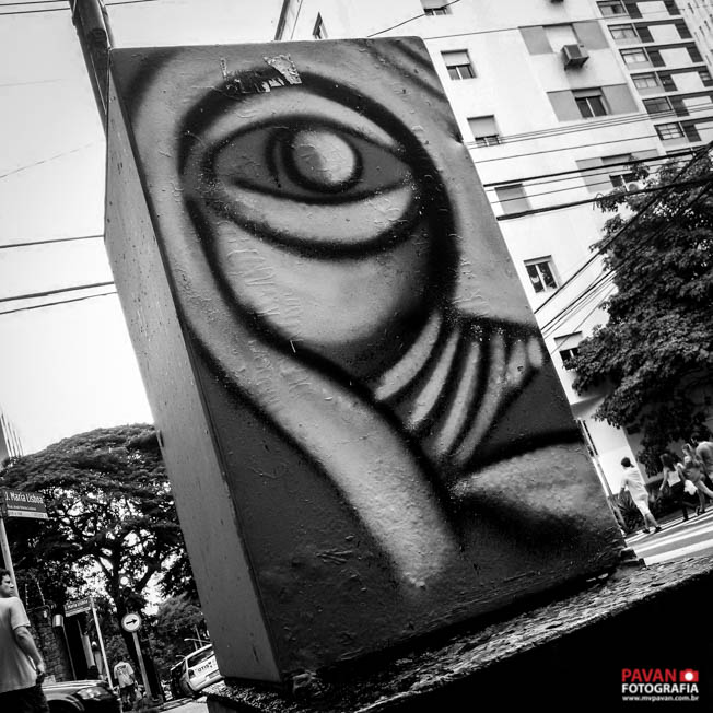 Foto-Manifestacao-Contra-Dilma_Pavan-Fotografia (11)